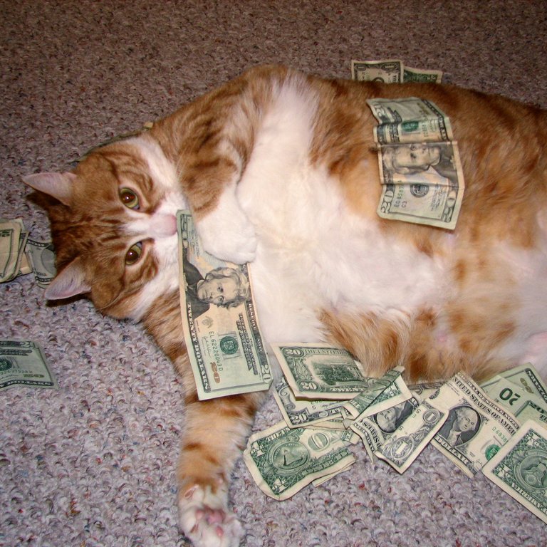 A19s Blog Your TLD Says Everything I Need To Know To Invest The Blog 